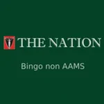 Online bingo uden AAMS